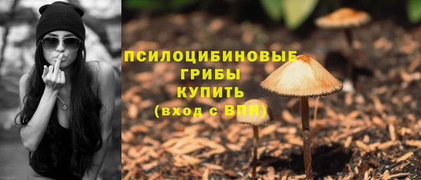 ПСИЛОЦИБИНОВЫЕ ГРИБЫ Нея
