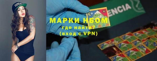 ПСИЛОЦИБИНОВЫЕ ГРИБЫ Нея