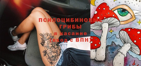 трава Нефтекумск
