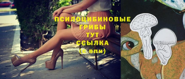 трава Нефтекумск