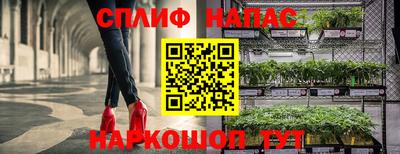 гидра Абинск