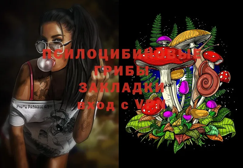 Псилоцибиновые грибы MAGIC MUSHROOMS  Алексеевка 