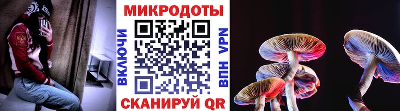 кракен зеркало  Алексеевка  площадка какой сайт  Псилоцибиновые грибы GOLDEN TEACHER 