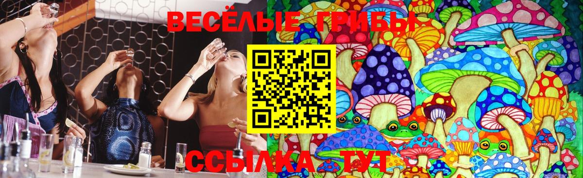 Галлюциногенные грибы ЛСД  Вход с VPN  Алексеевка 